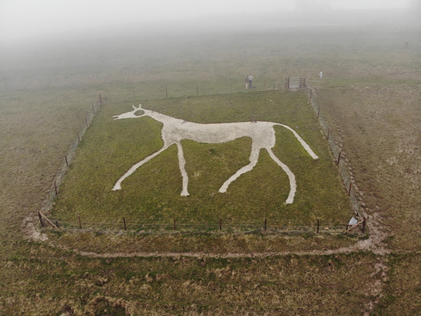 Pewsey White Horse - Image 1