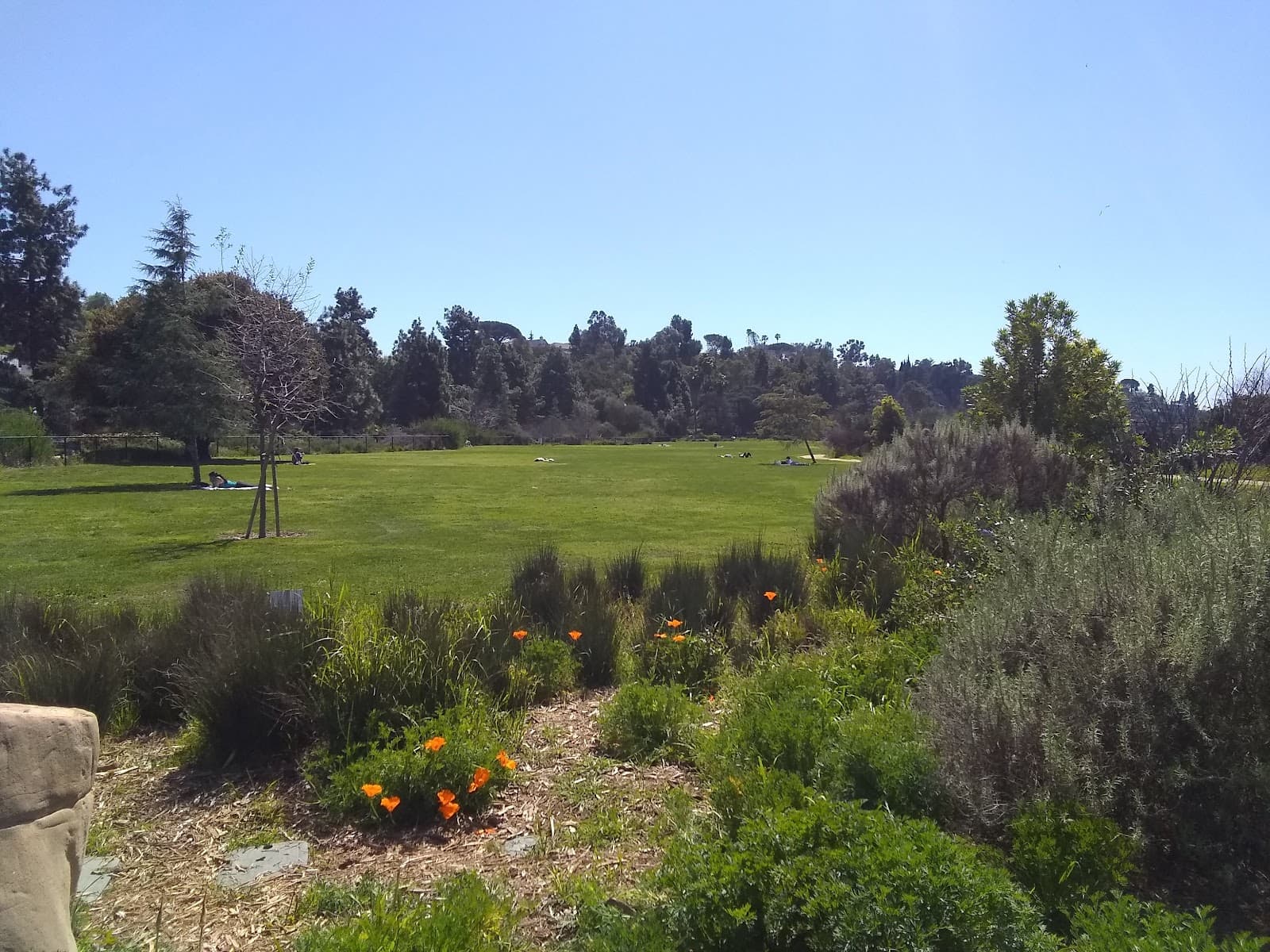 Silver Lake Hills - Image 1