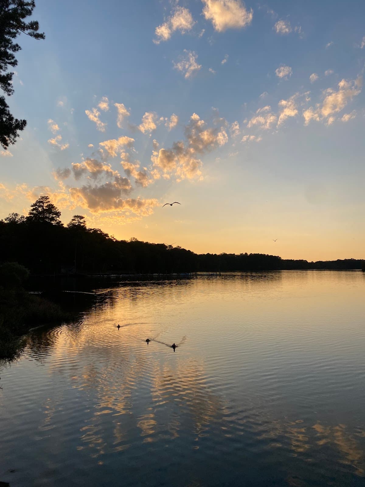 Lee Hall Reservoir - Image 1