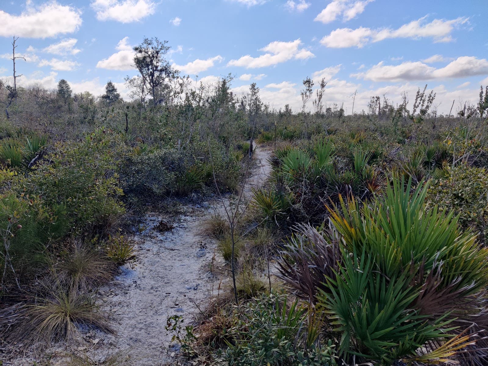 Arbuckle Creek Paddling Trail - Image 1
