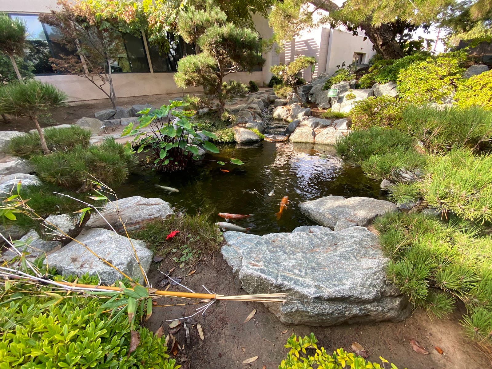 Pine Wind Japanese Garden - Image 1