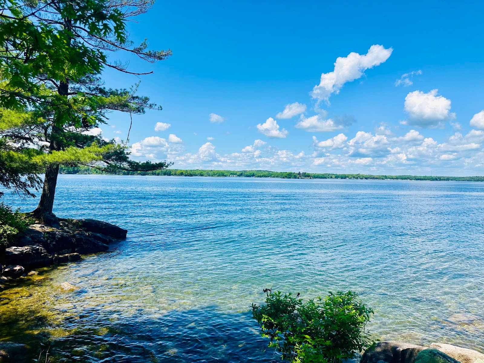 Thousand Islands Shoreline