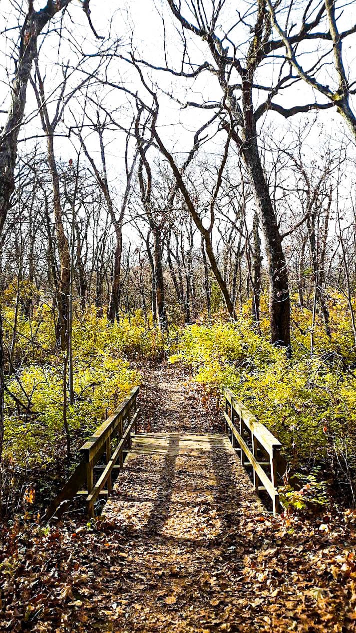 MacLennan Park and Cedar Crest Grounds - Image 1