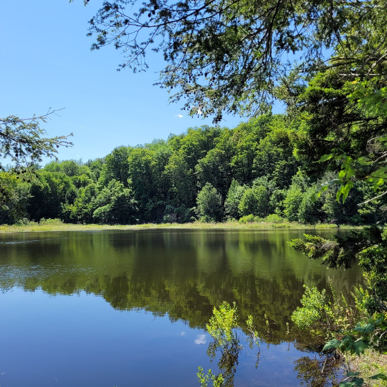 Bear Swamp Reservation - Image 1