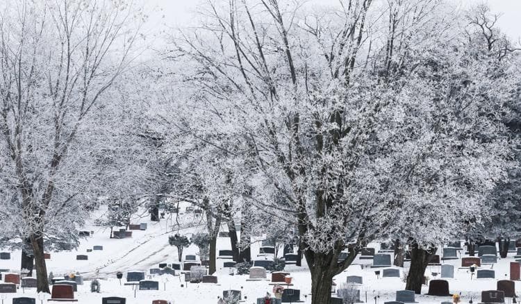 Oakwood Cemetery - Image 1