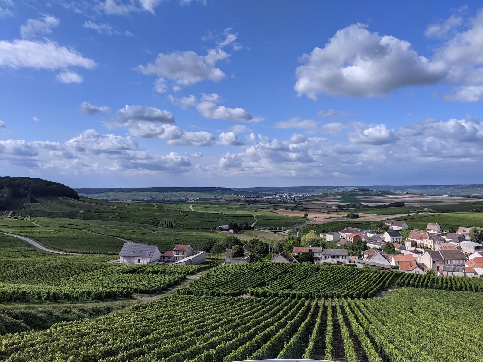 Belvedere of Charly-sur-Marne (Vineyard Viewpoint) - Image 1