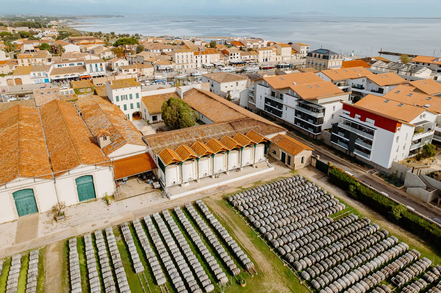Charming Courtyard Bar