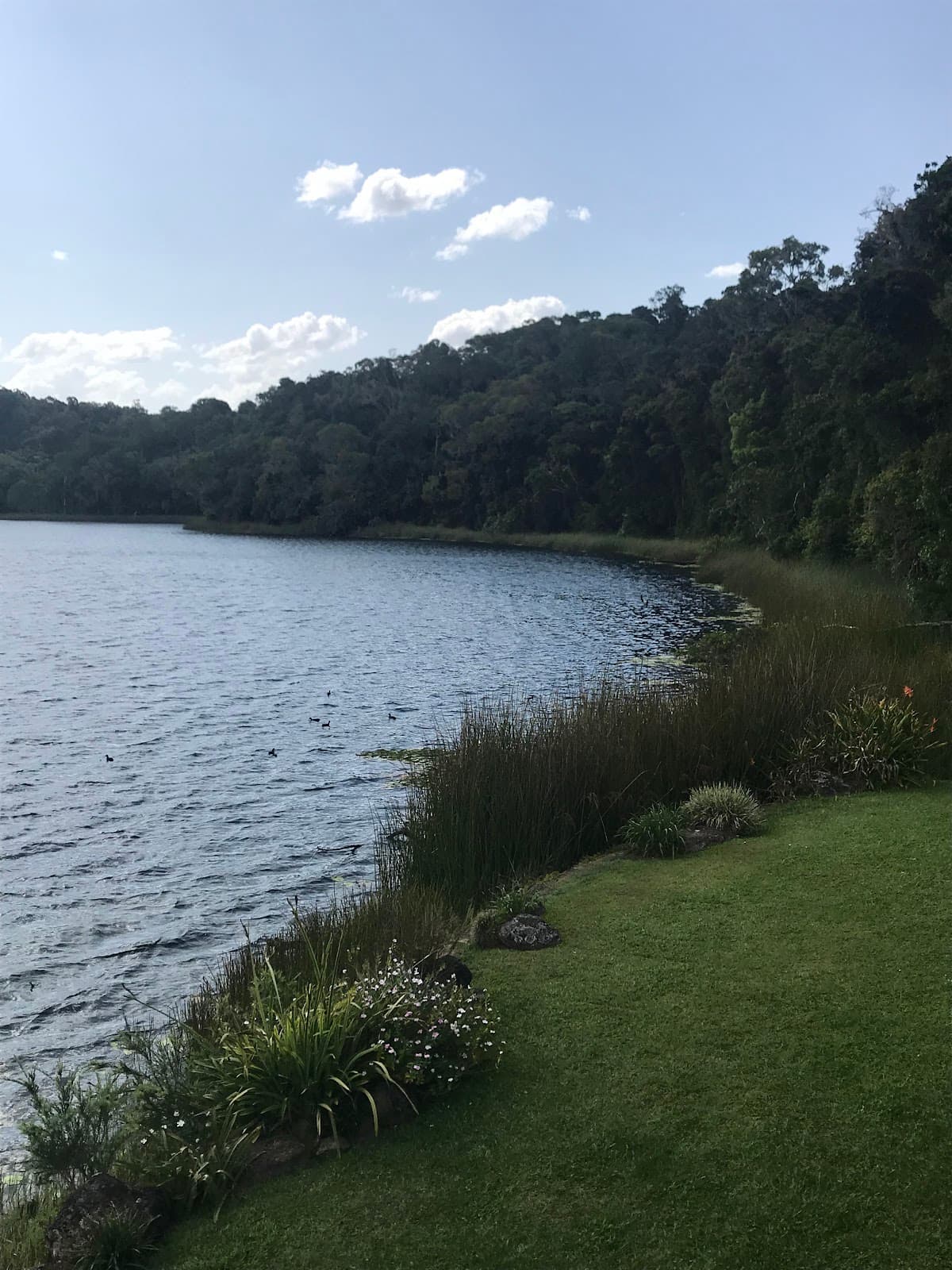 Lake Barrine - Image 1