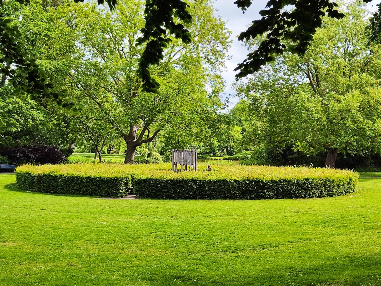 Tranquil Walking Paths
