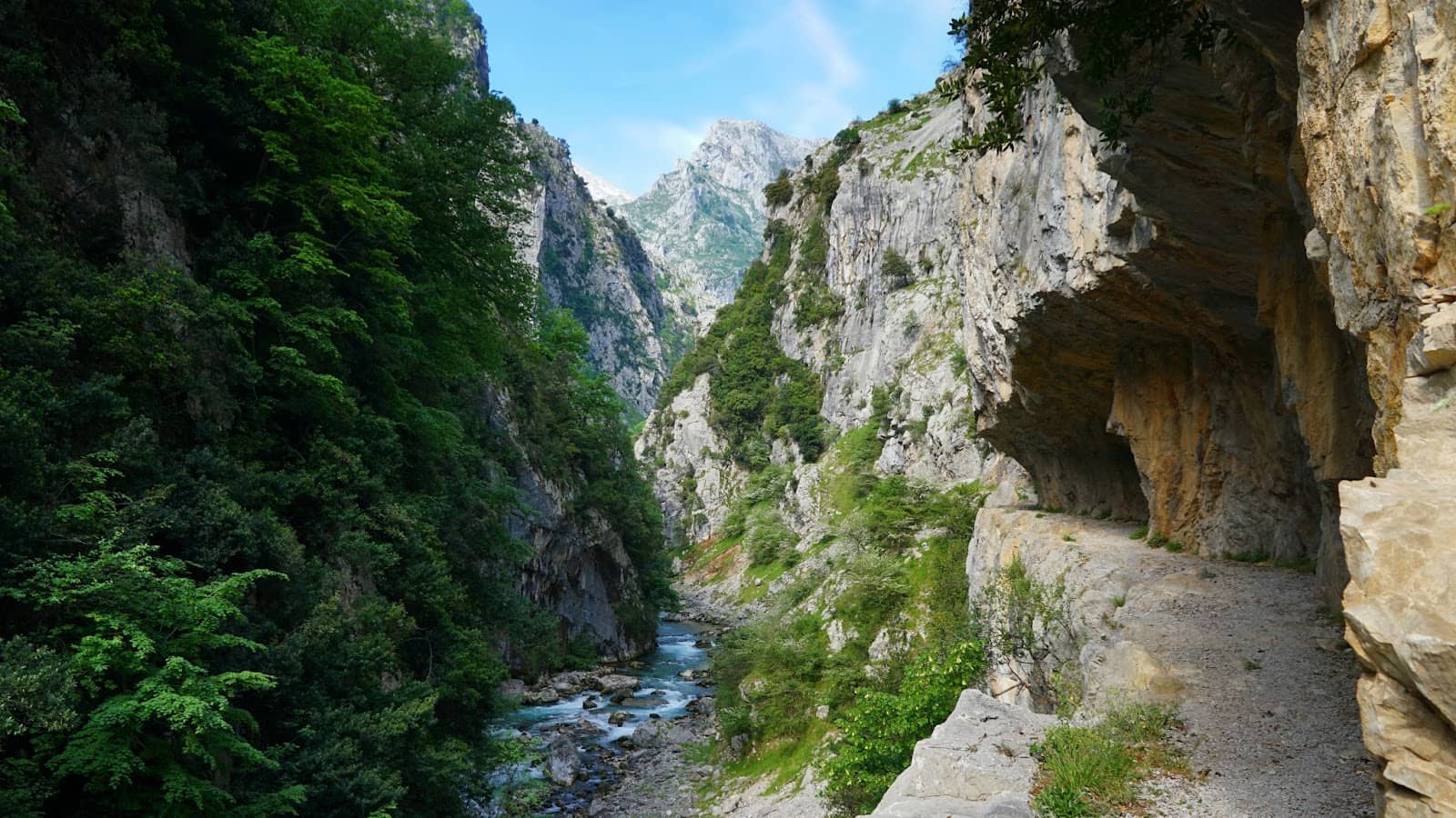 Dramatic Limestone Peaks