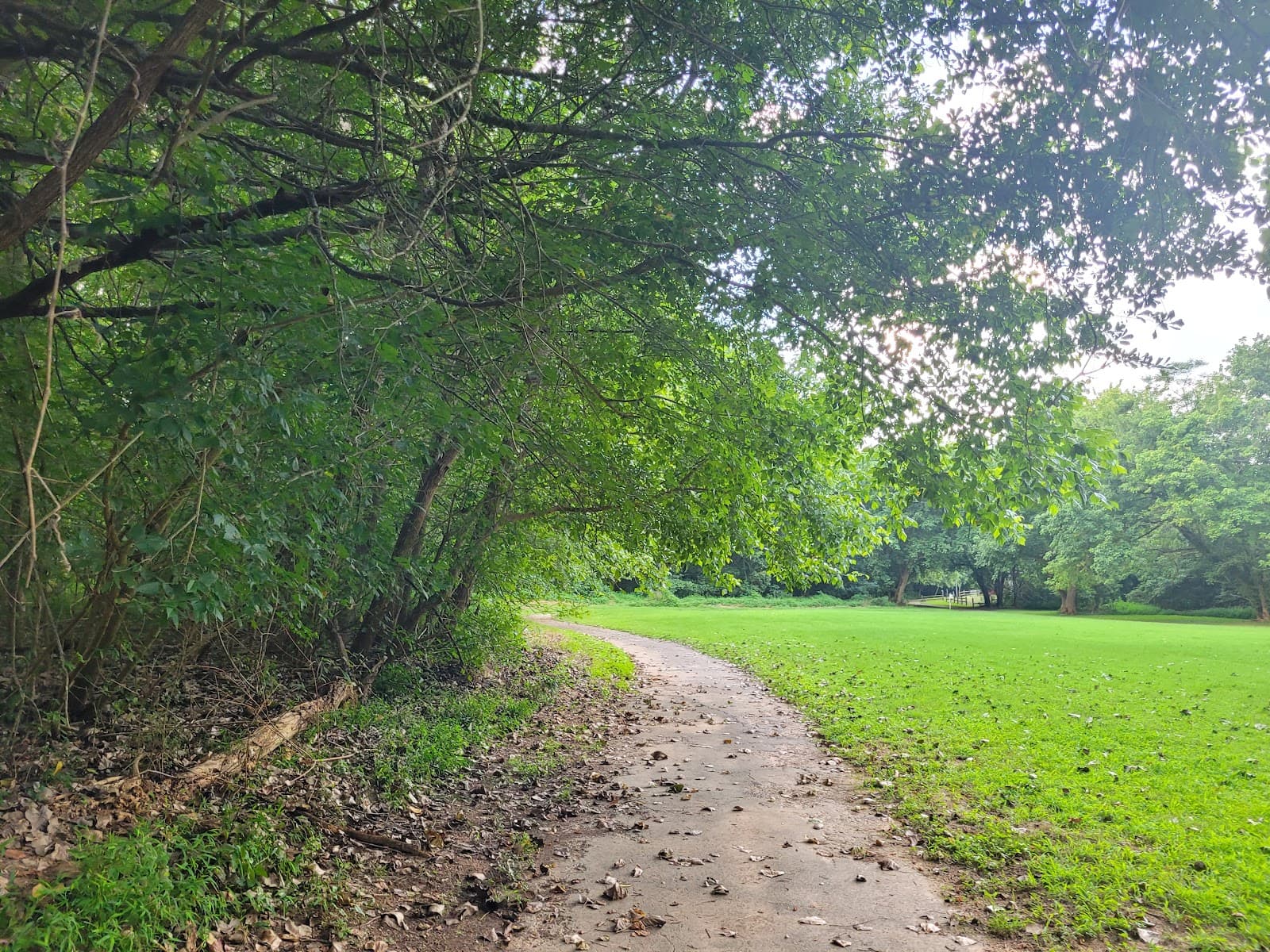 Asakawa Riverside Greenway - Image 1