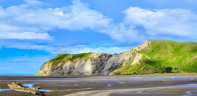 Young Nick’s Head / Te Kuri a Paoa - Image 1