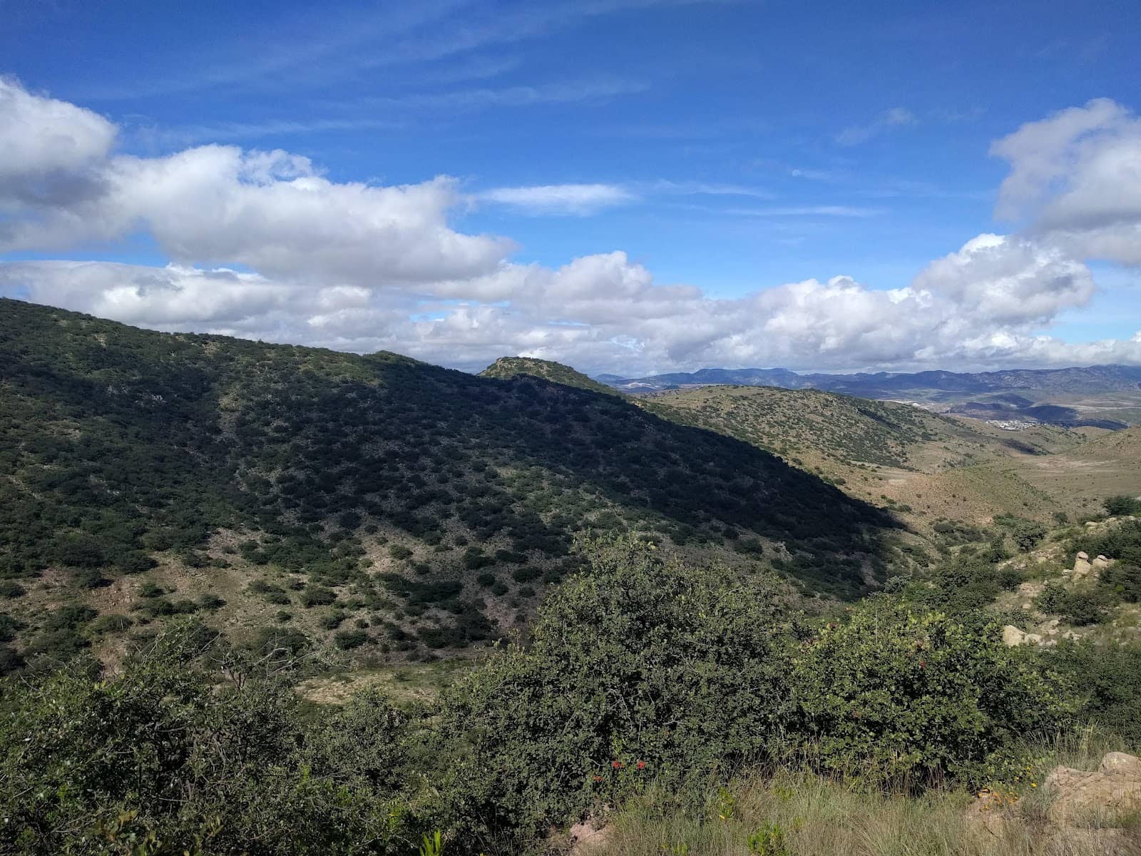 Xerophytic Scrubland