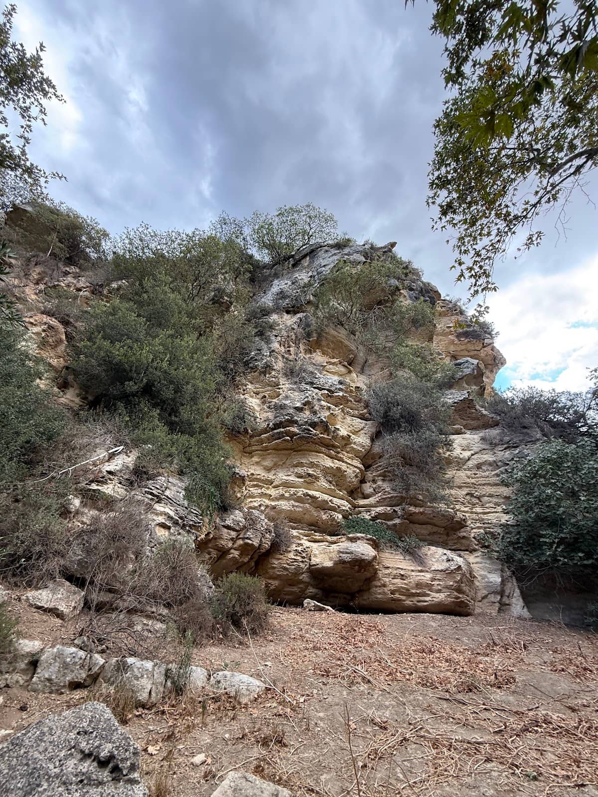 Picnic Spot by the River