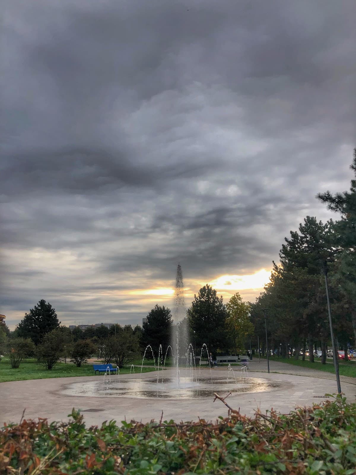 Parco Europa (Rho) - Image 1