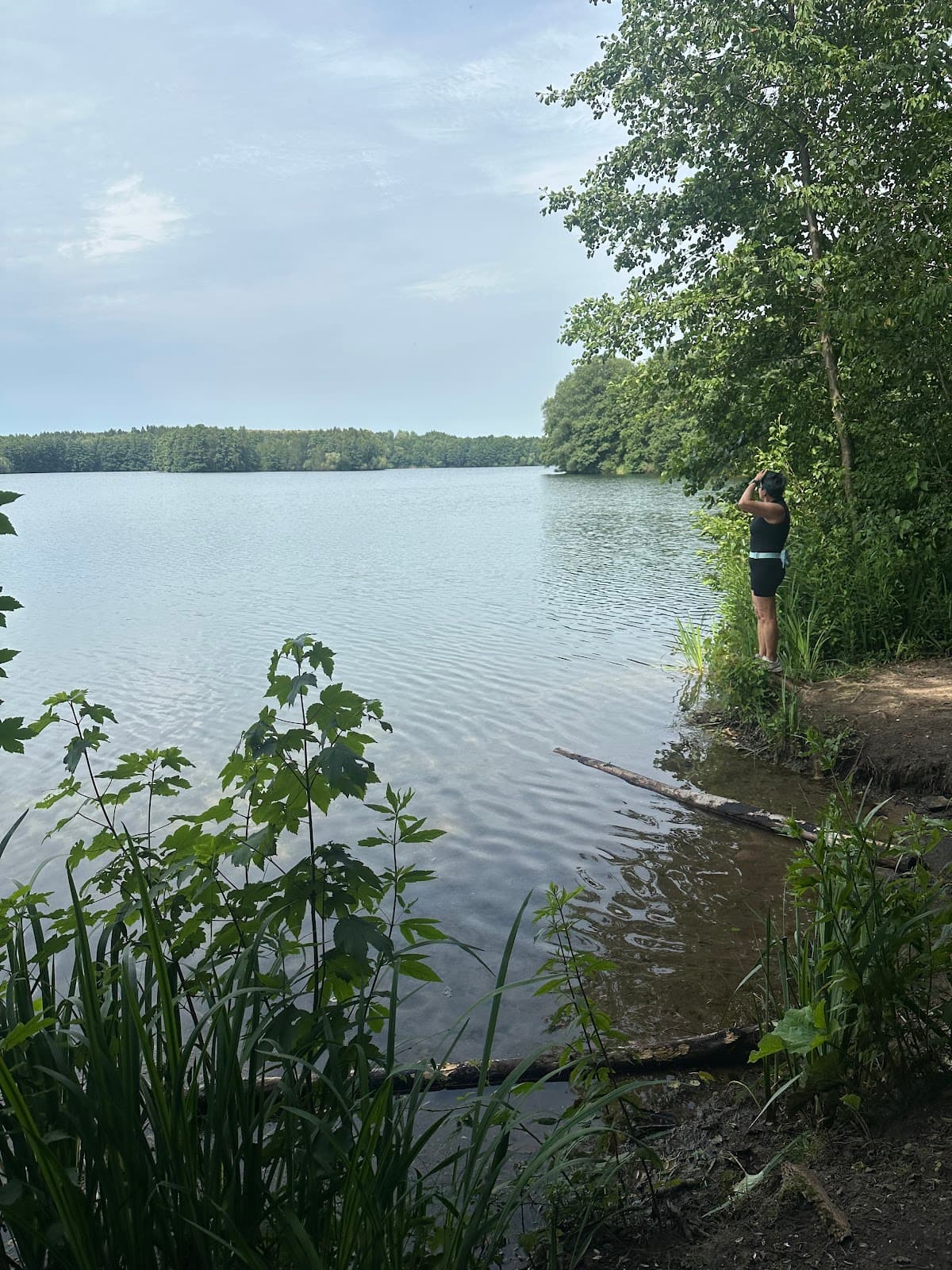 Kirchheller Heide - Image 1