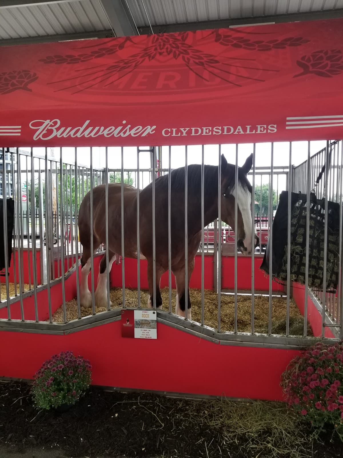 SoKY Marketplace - Image 1