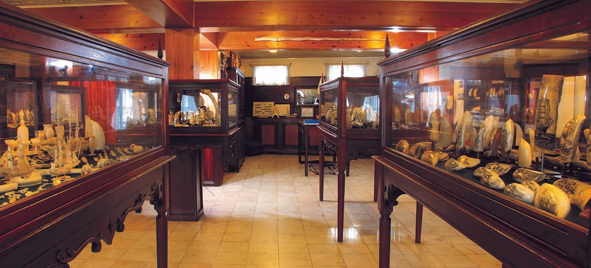 Peter Café Sport - Image 1