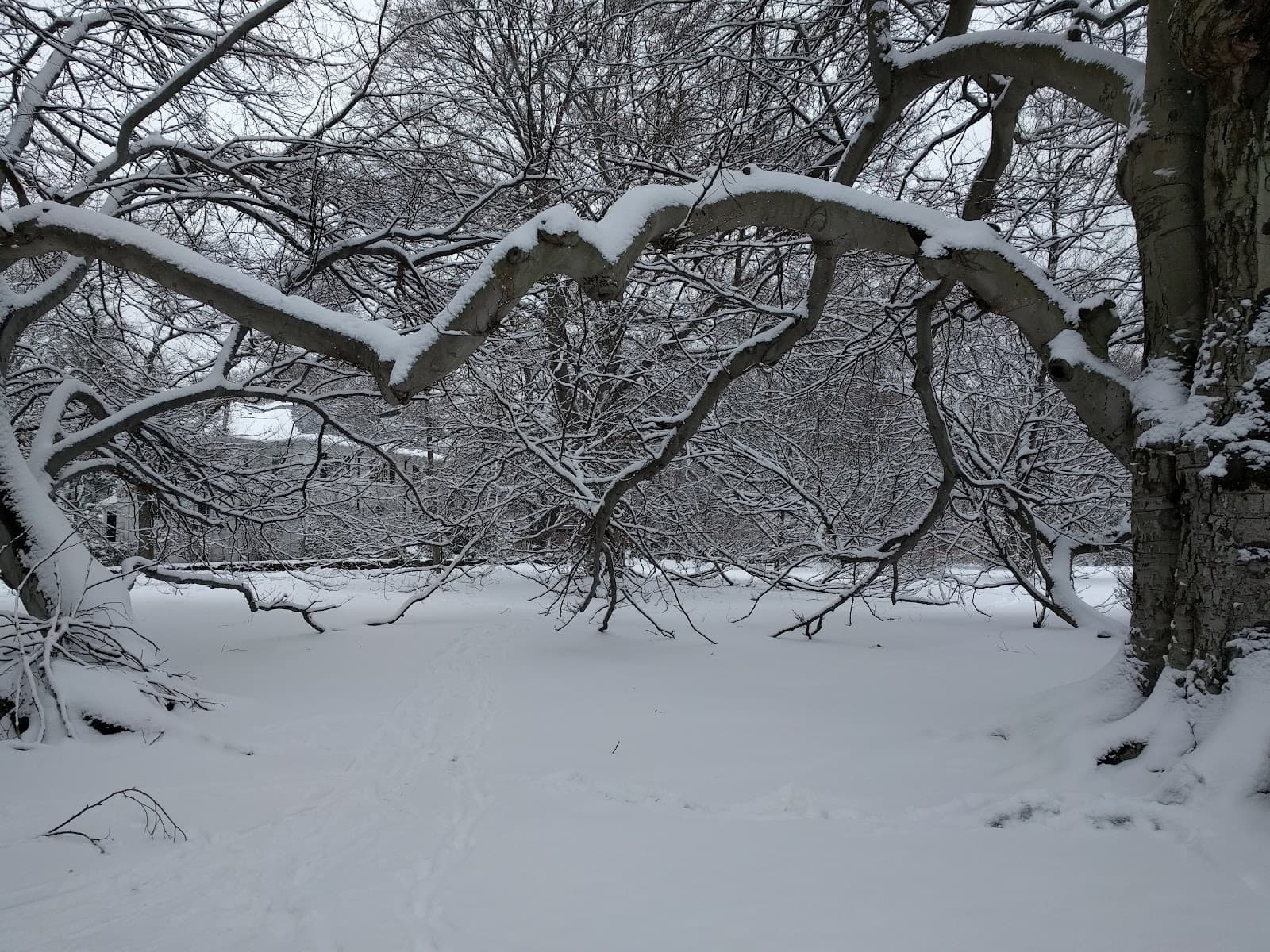 Longwood Mall - Image 1