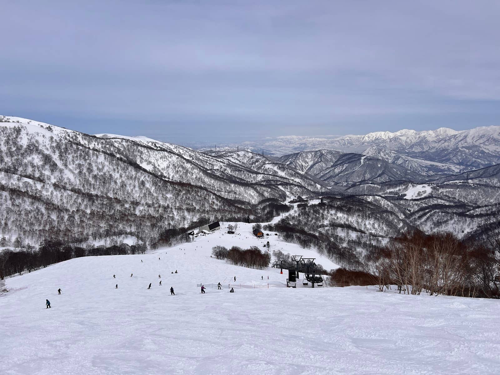 Freestyle Opportunities