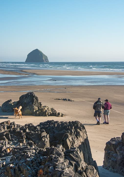 McPhillips Beach - Image 1