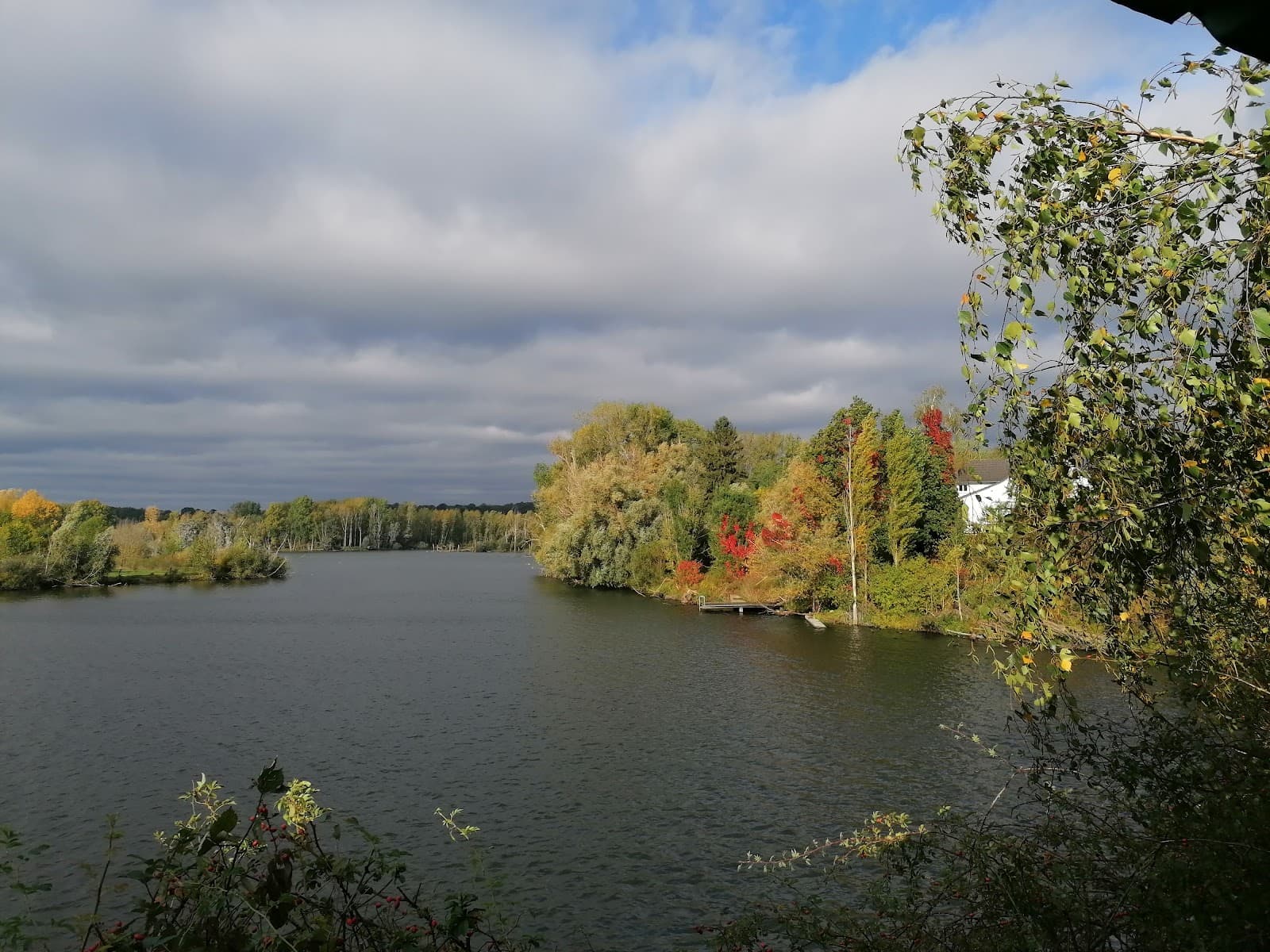 Bislicher Insel Nature Reserve - Image 1