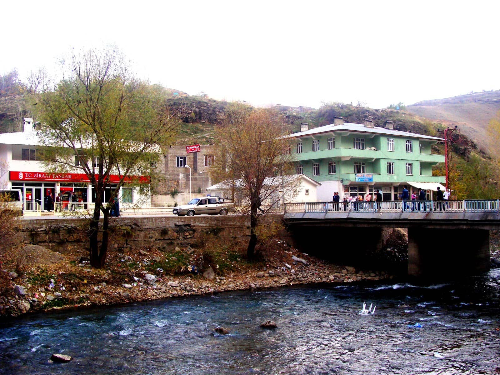 Professional Guide Assistance