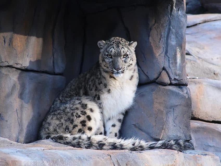 Five Sisters Zoo - Image 1