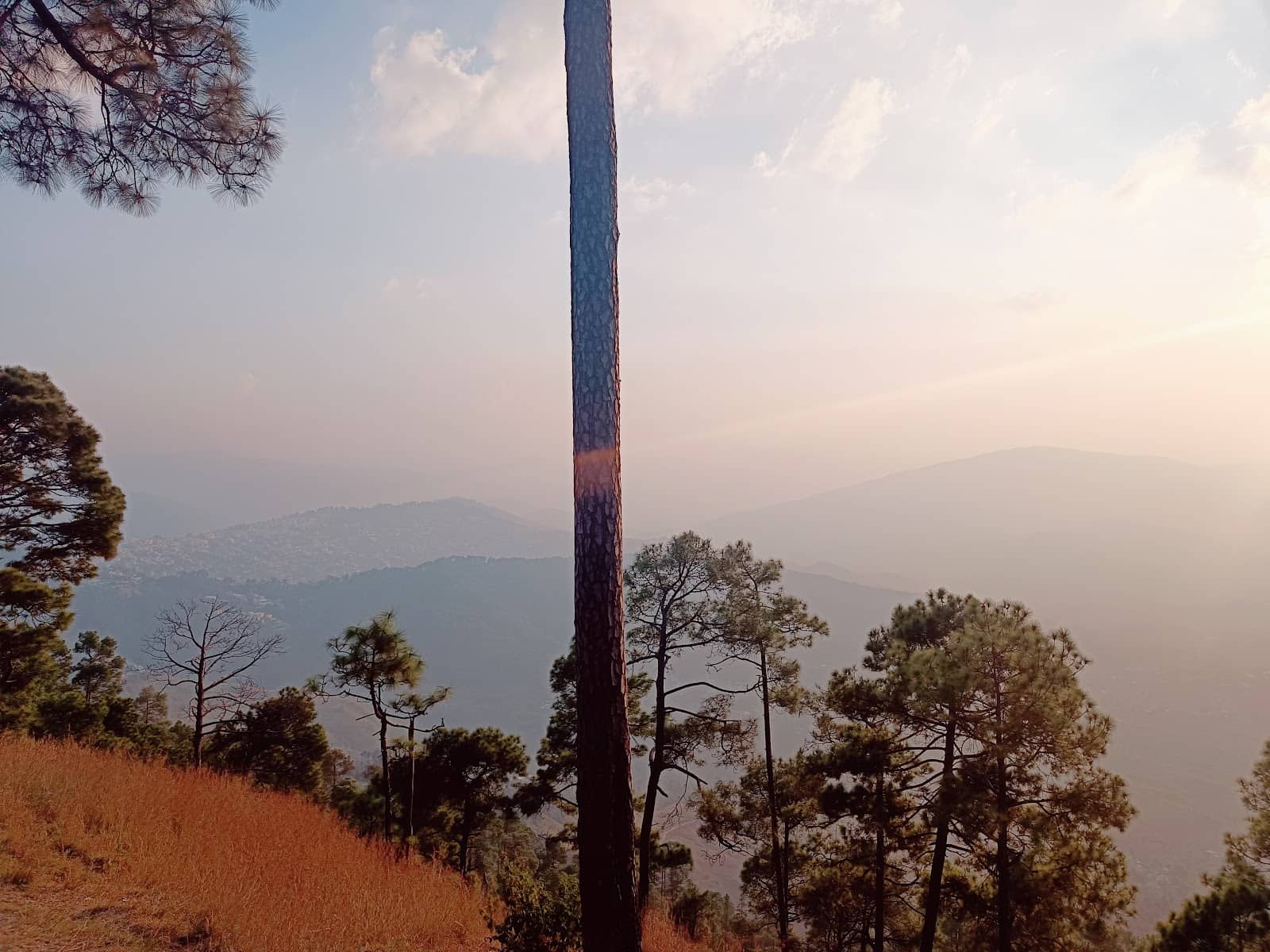 Hippie Hill Atmosphere