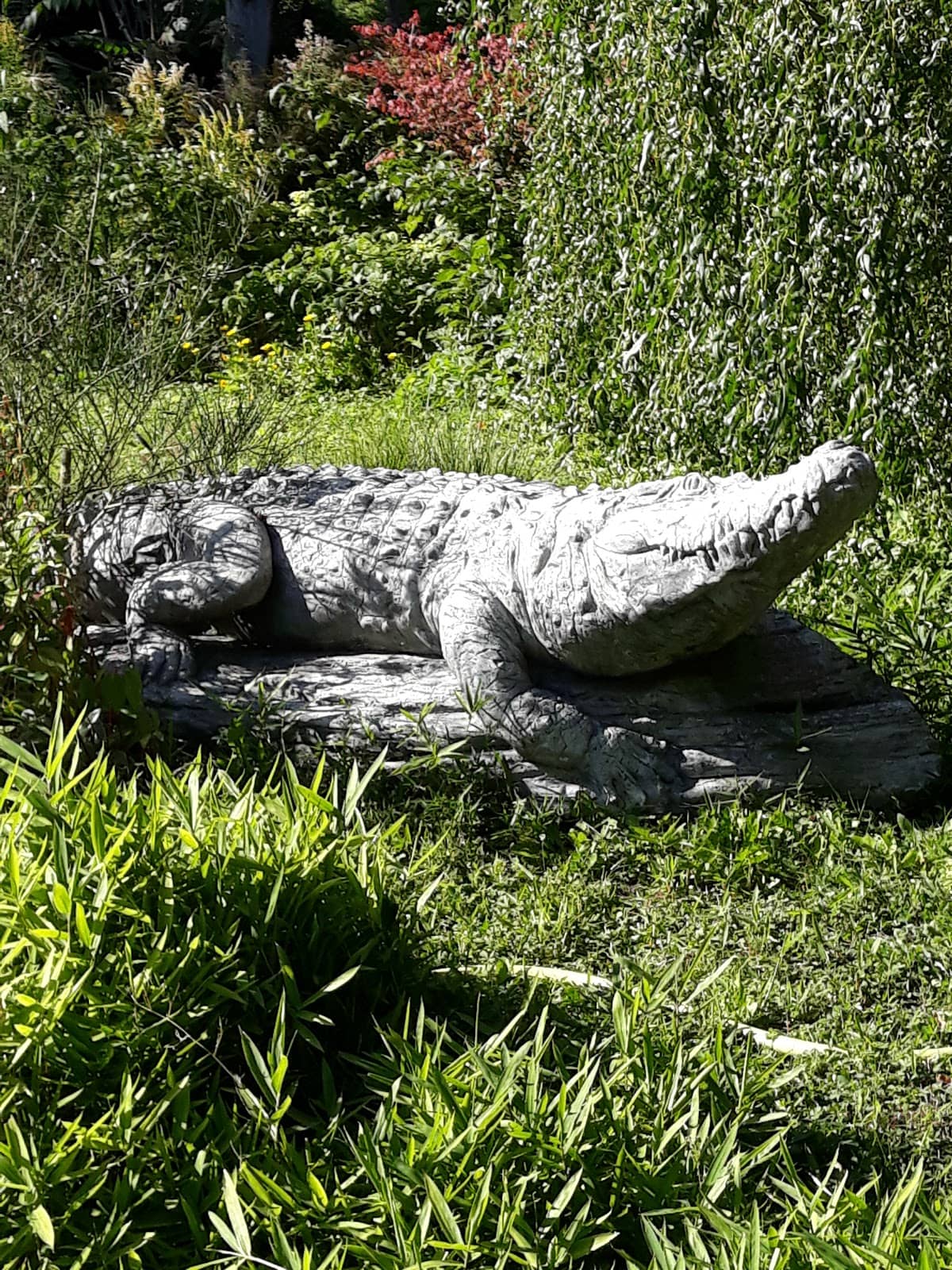 Diverse Animal Collection