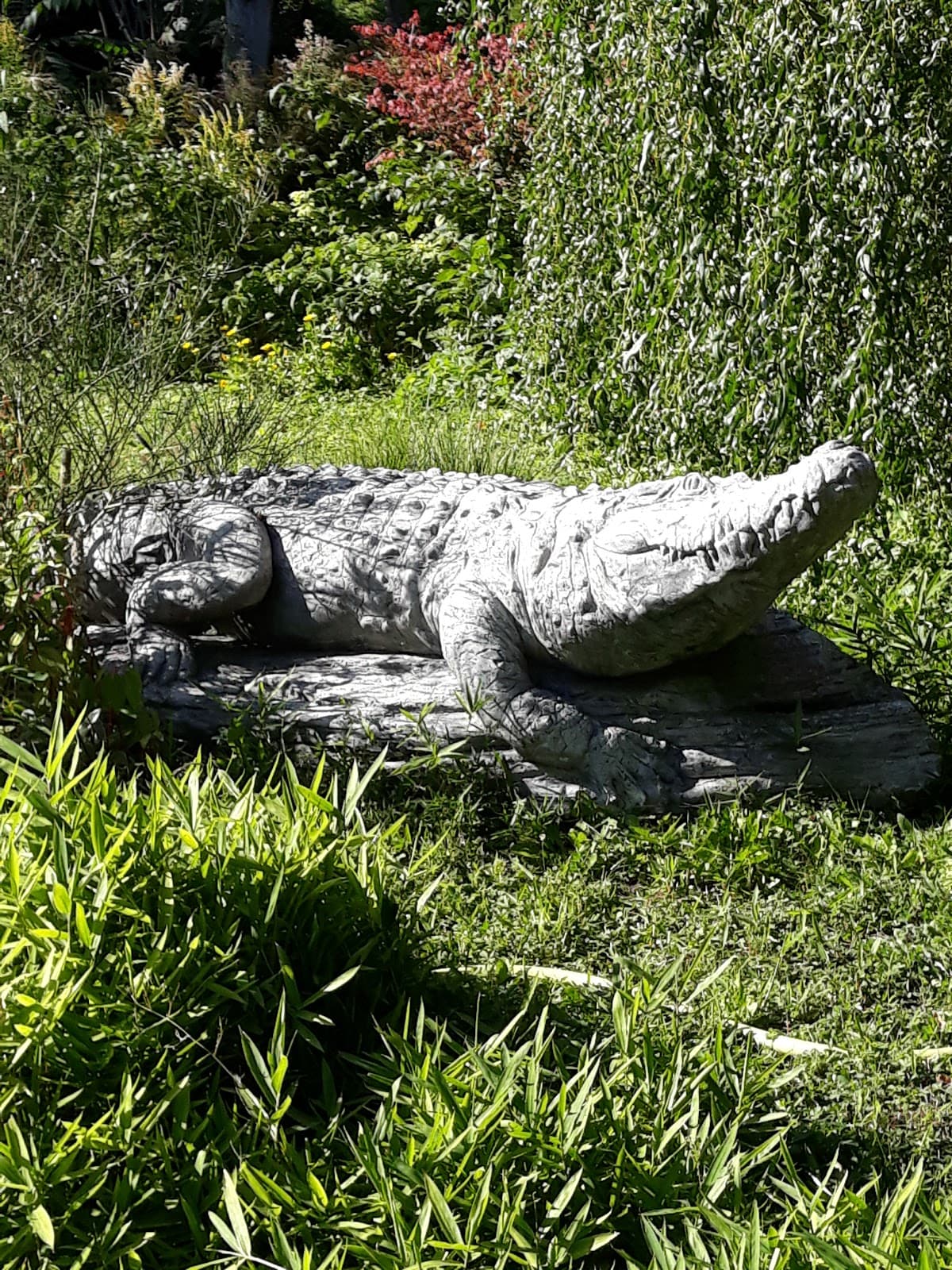 Pyongyang Central Zoo - Image 1