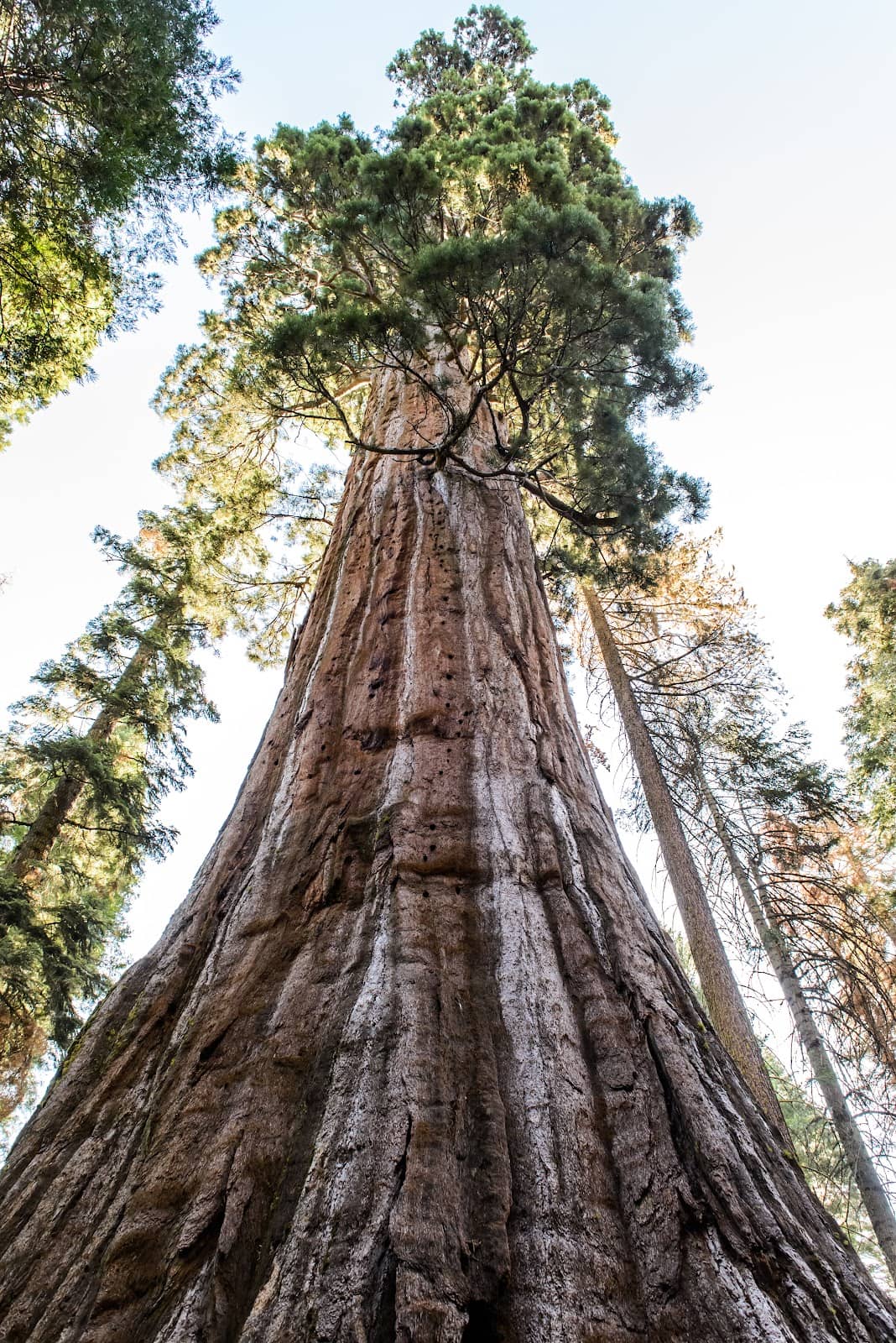 Historic Grove Exploration