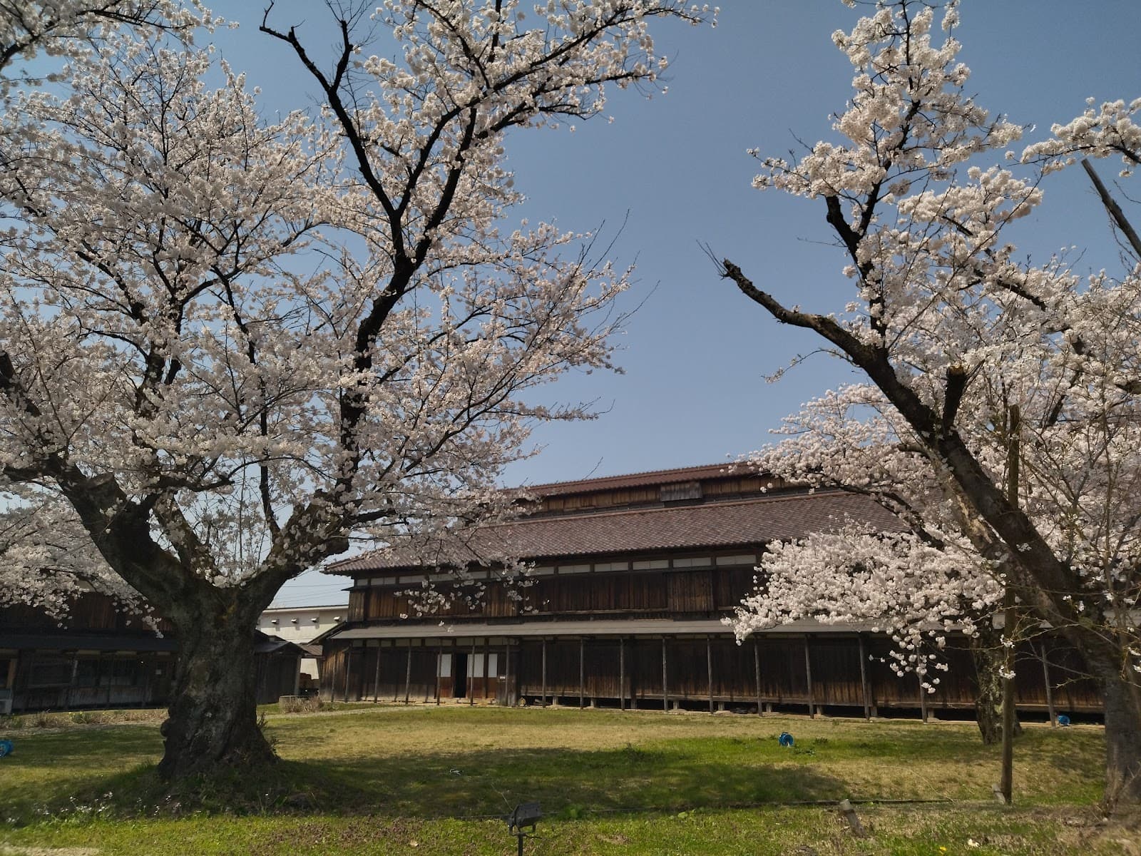 Matsugaoka Reclamation Land (Kaikonjo) - Image 1