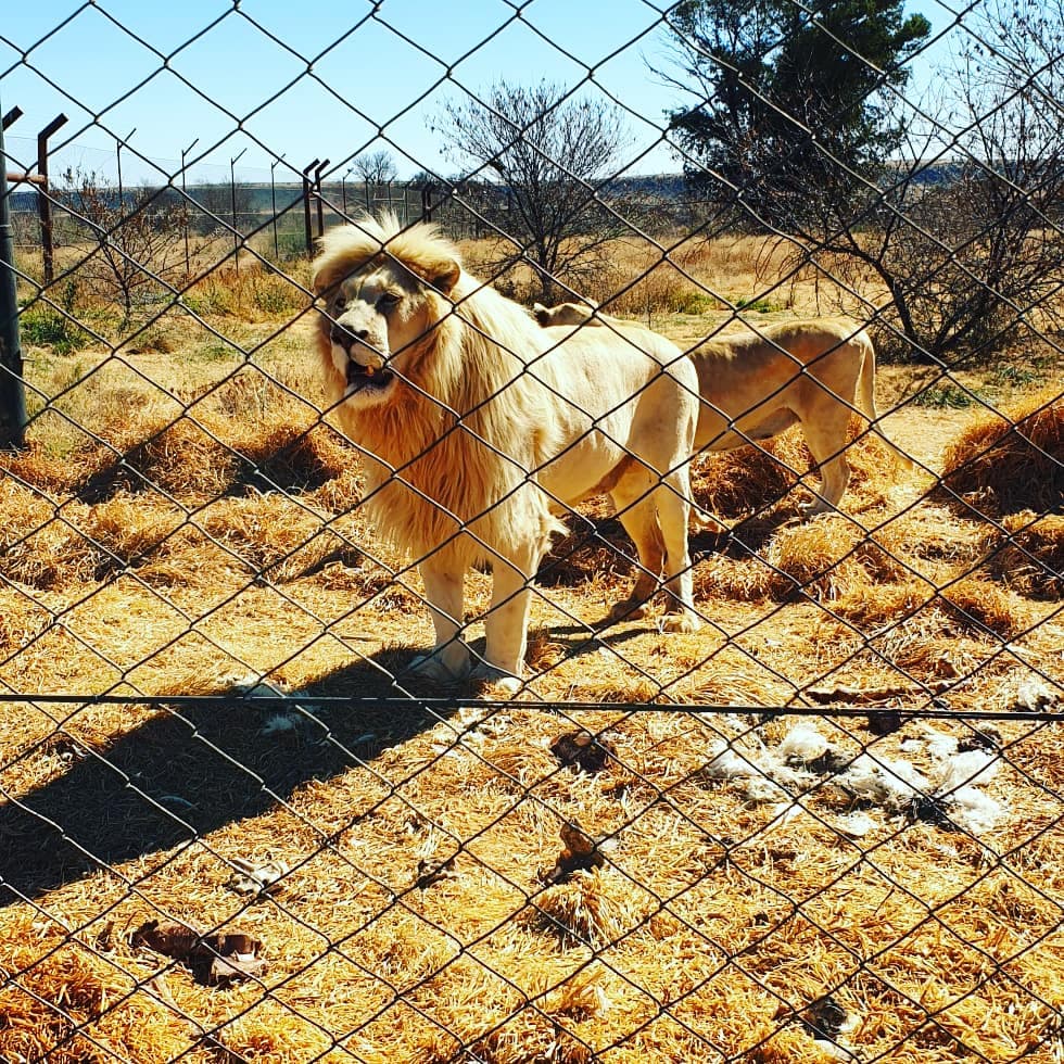 Bagamoya Wildlife Estate - Image 1