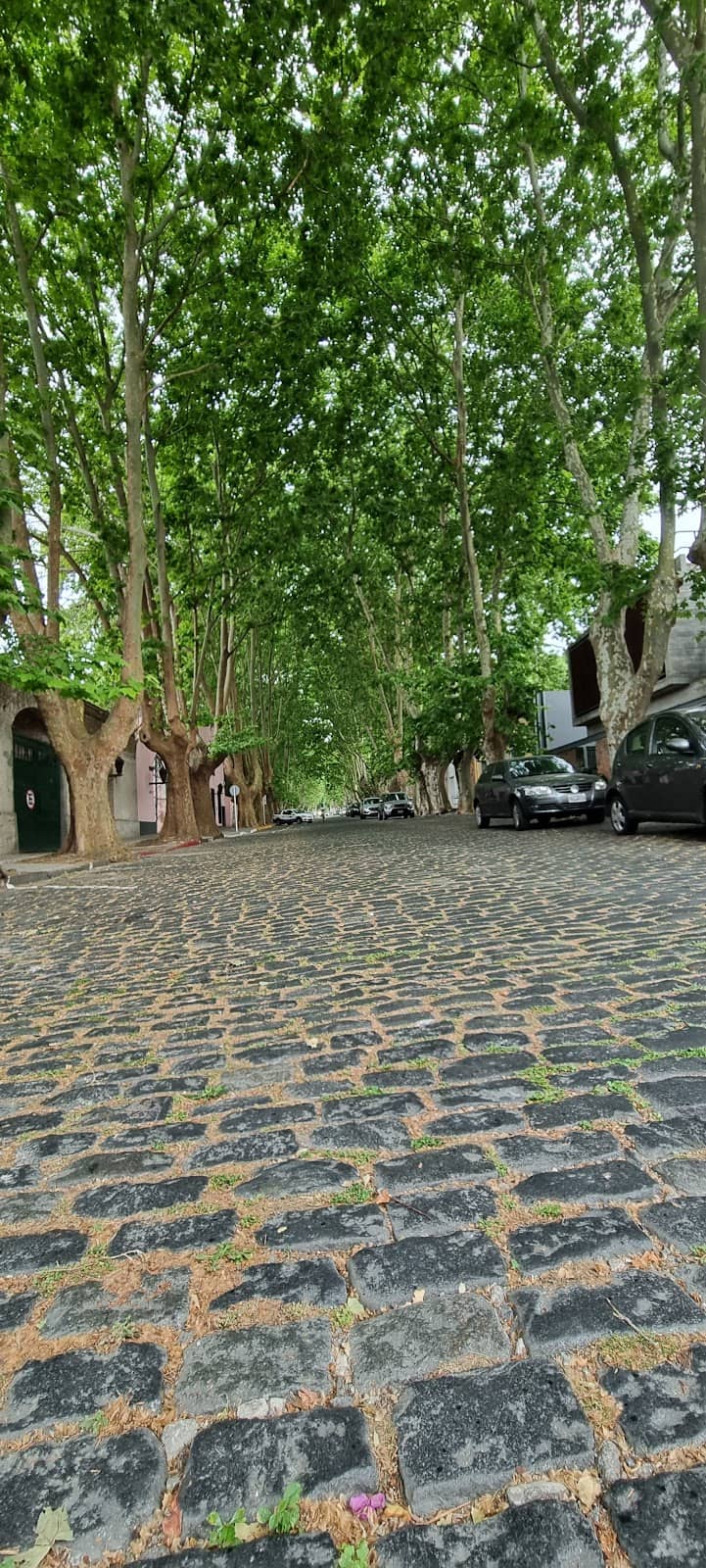 Charming Street Ambiance