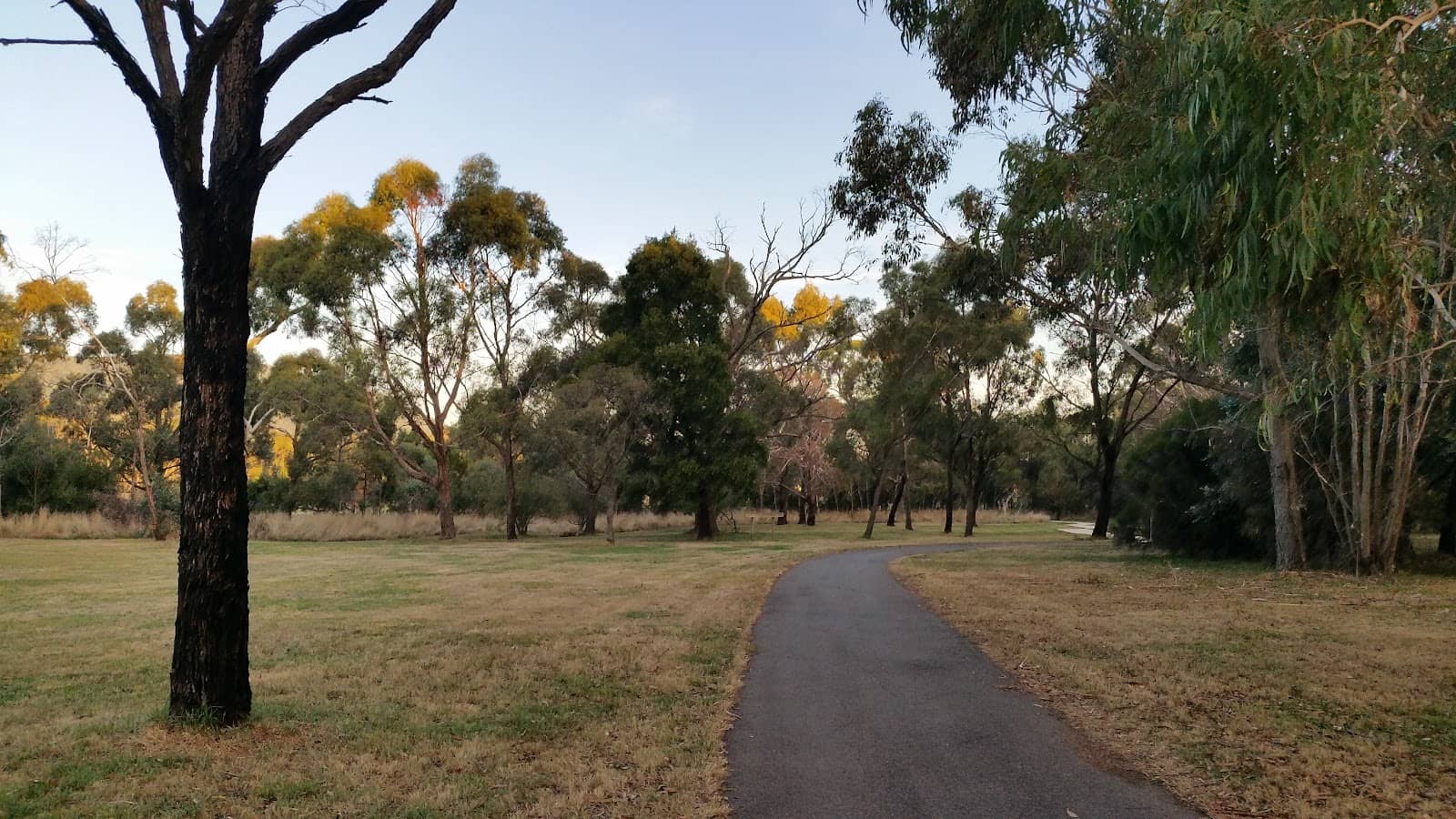 Dog-Friendly Exploration