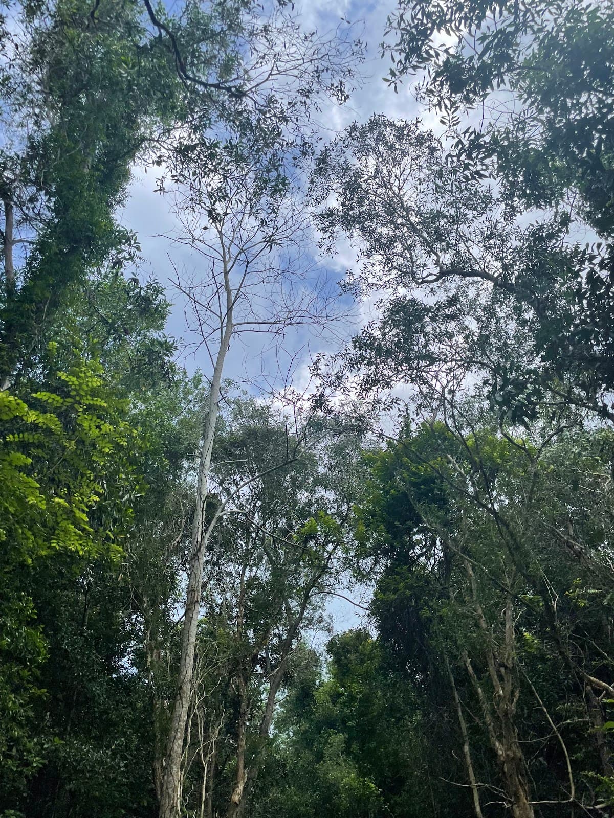 Binh Chau–Phuoc Buu Nature Reserve - Image 1