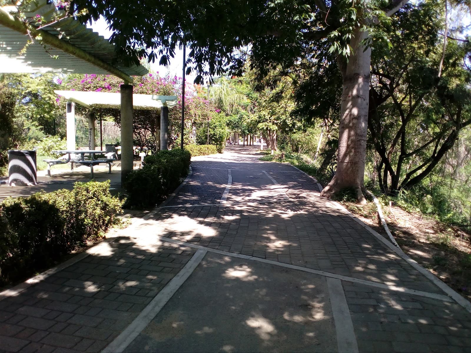 Parque Lineal Río Pitillal - Image 1