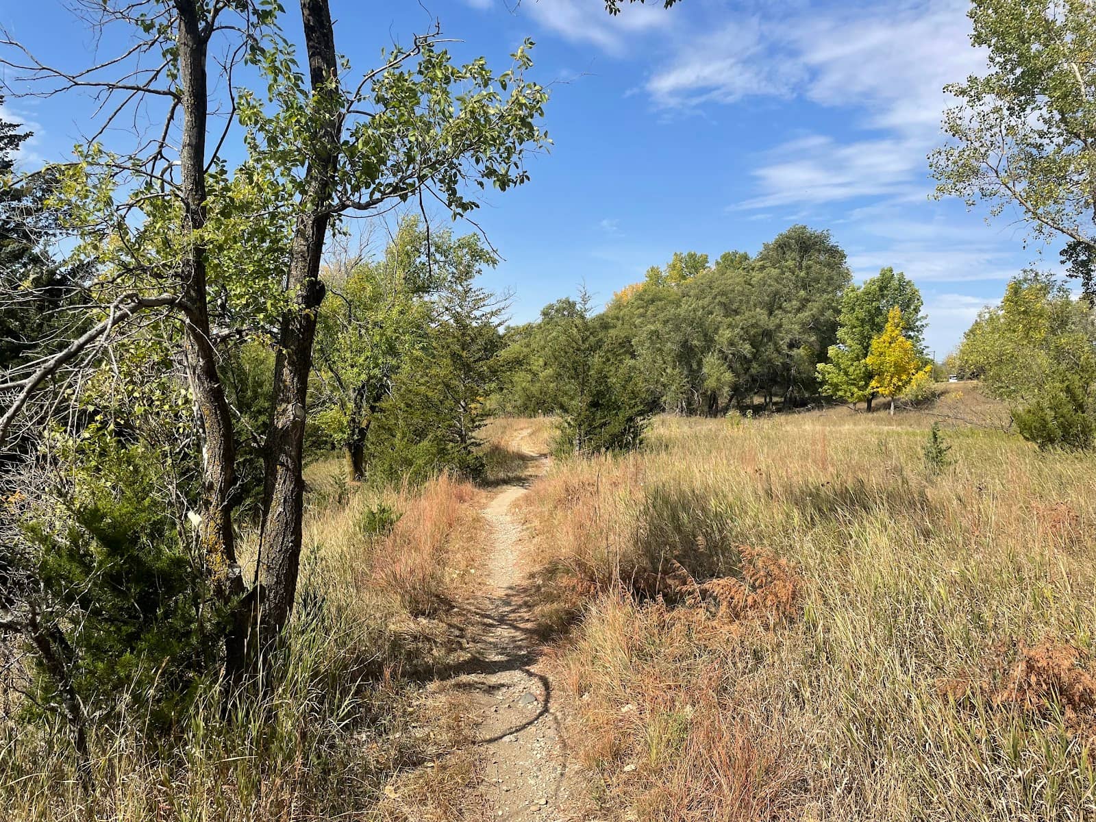 Singletrack Mountain Biking