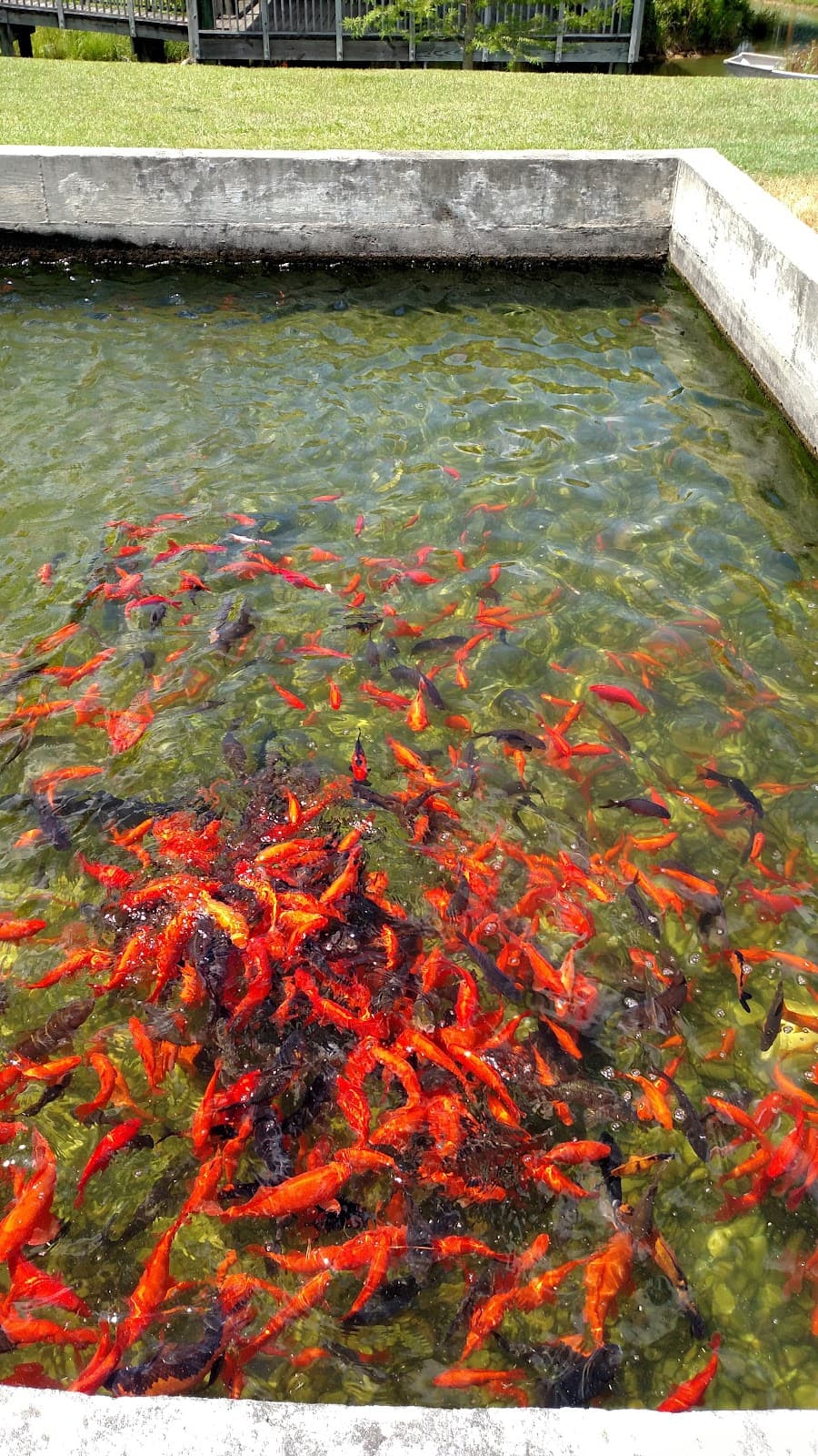 Warm Springs National Fish Hatchery - Image 1