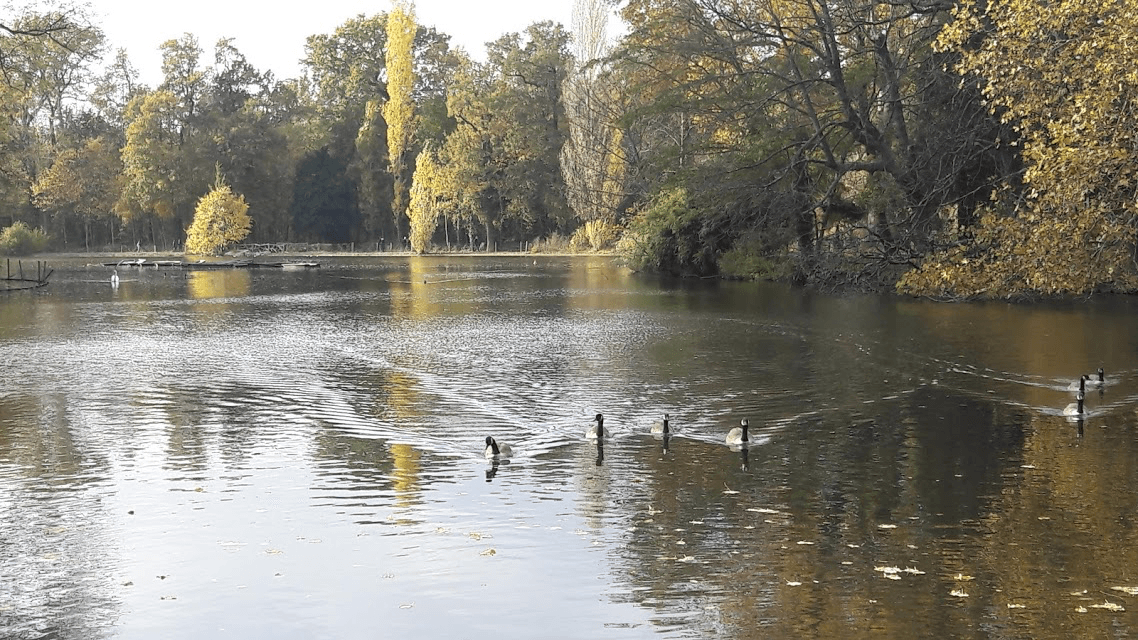 Lac des Minimes - Image 1