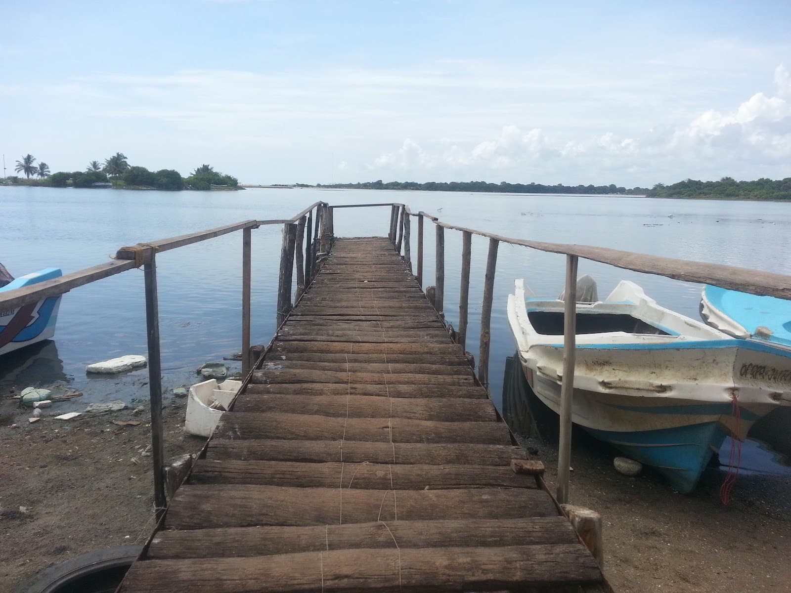 Kokkilai Sanctuary - Image 1