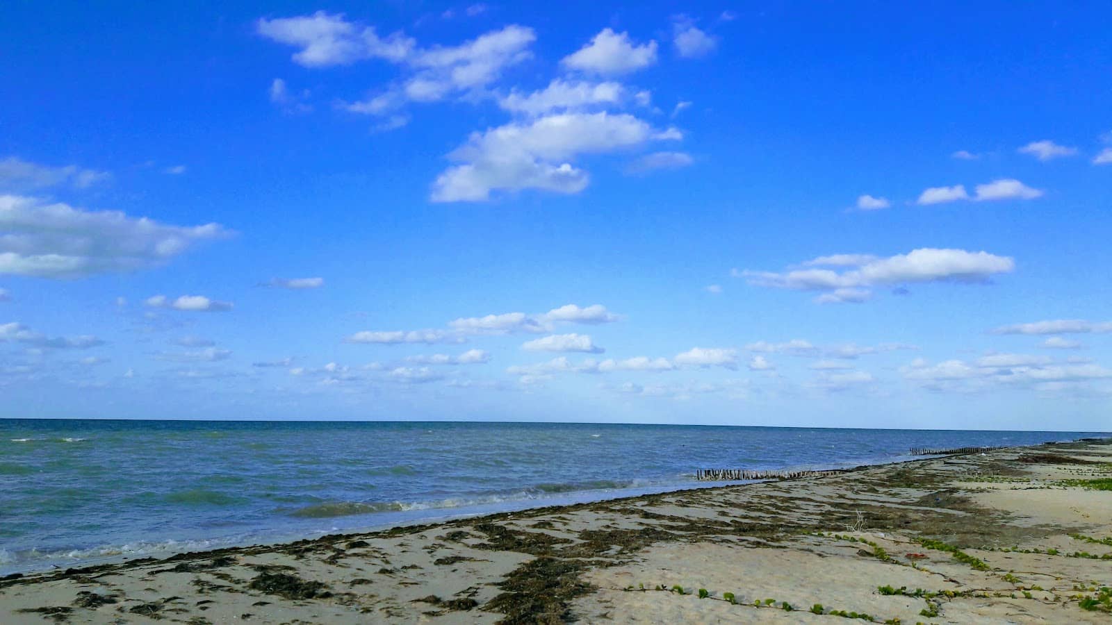 Puerto Progreso Proximity