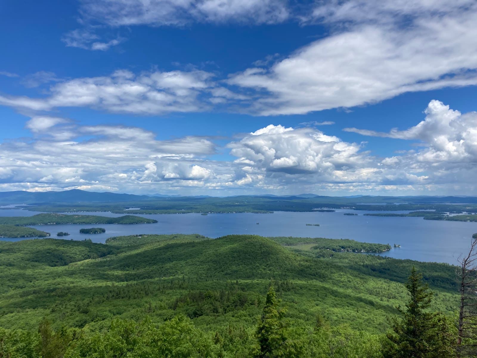 Mount Major Lookout - Image 1