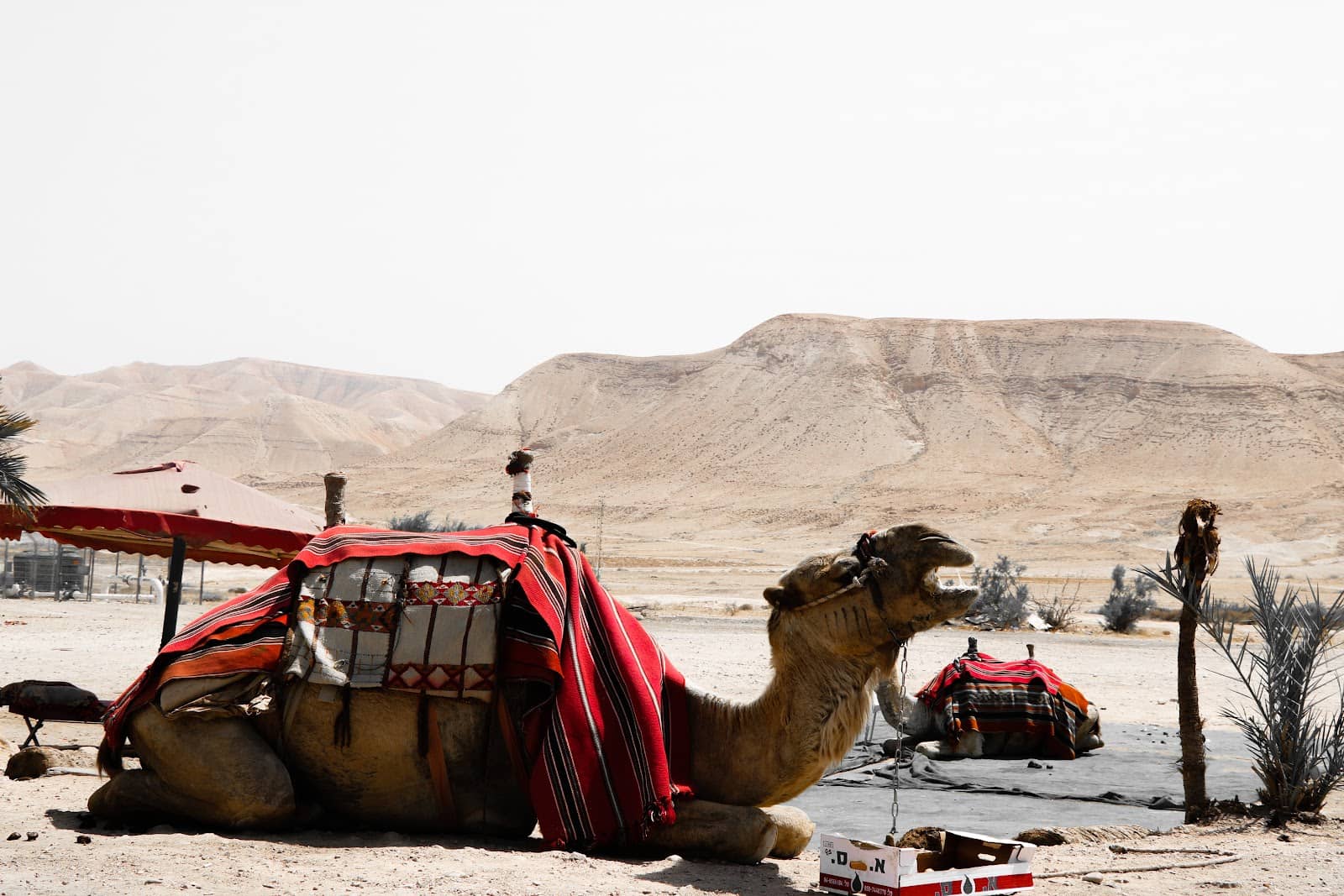 Stunning Desert Landscapes