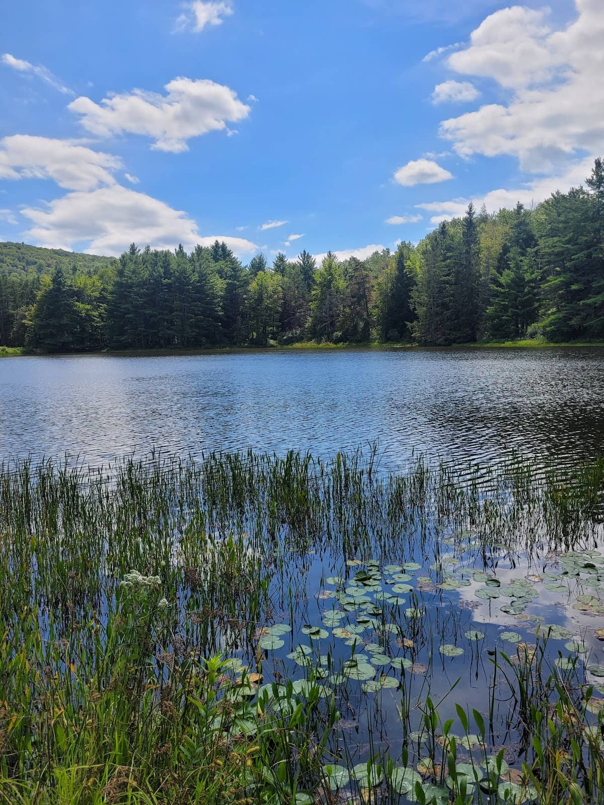 Former Ski Resort Remnants