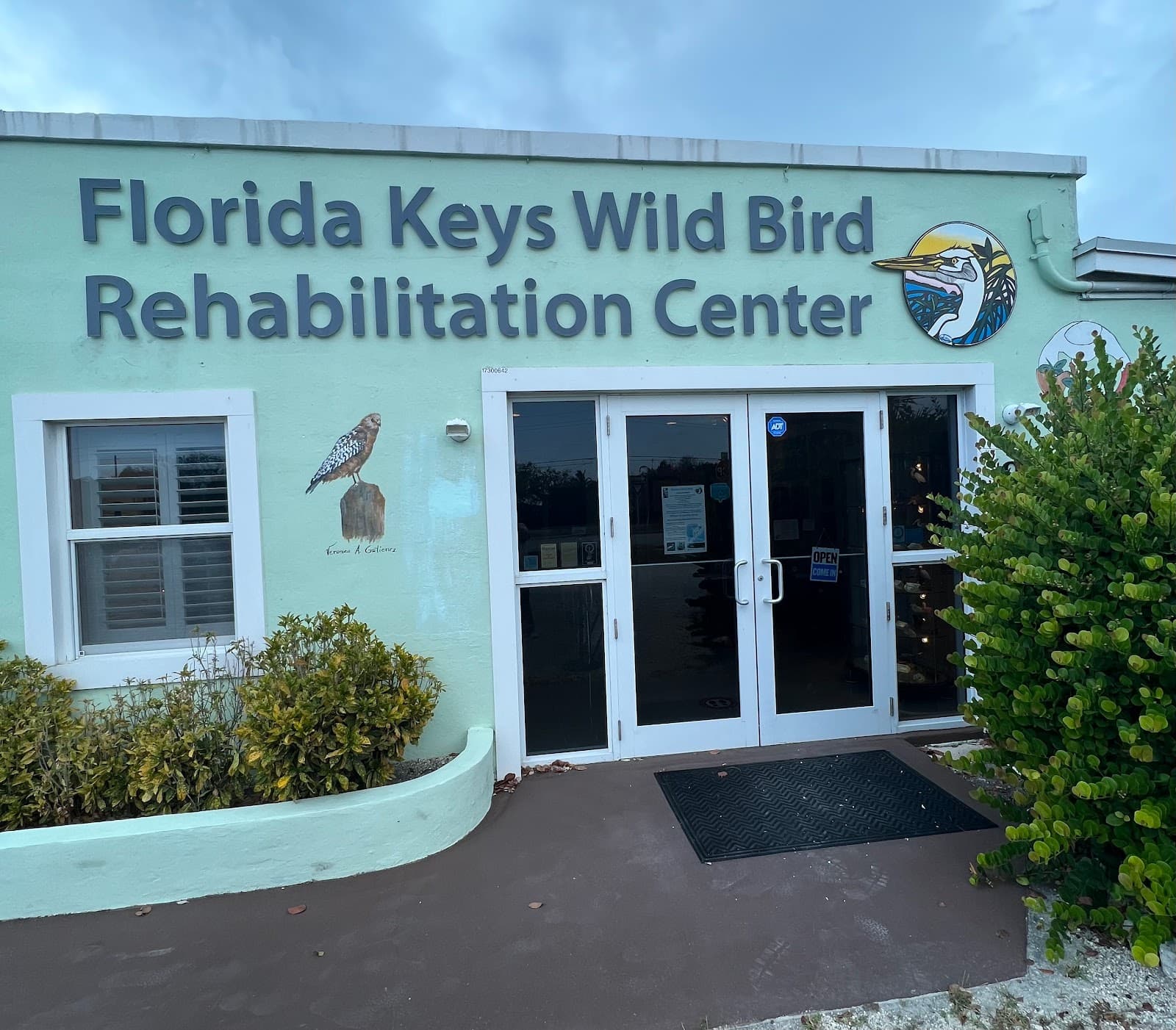 Florida Keys Wild Bird Center - Image 1