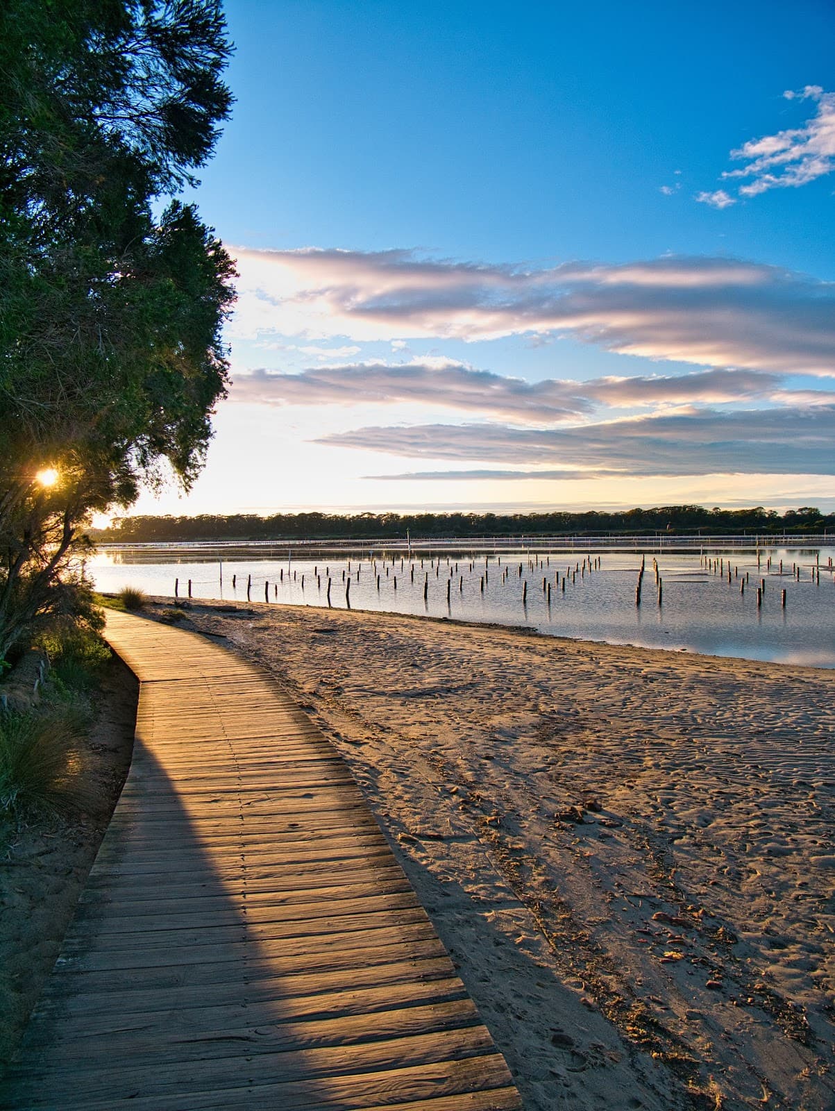 Merimbula Boardwalk - Image 1
