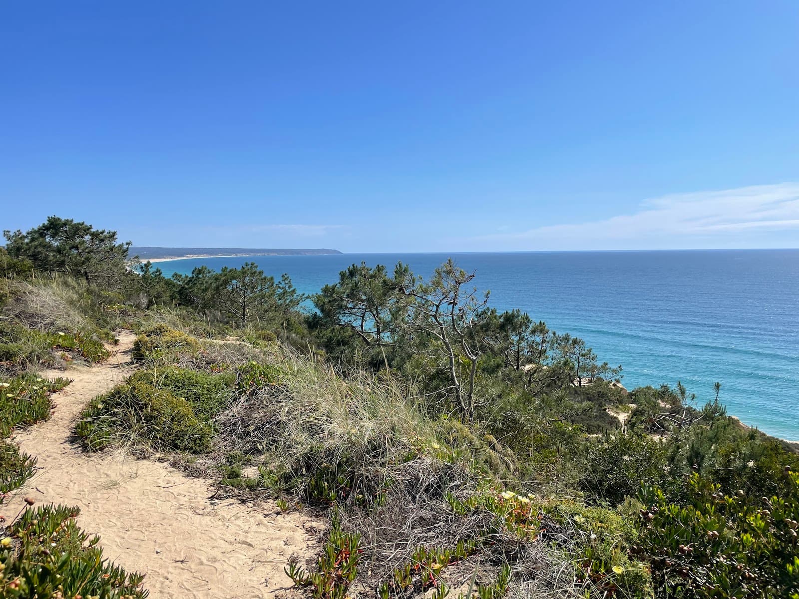 Fossil Cliff Protected Landscape - Image 1