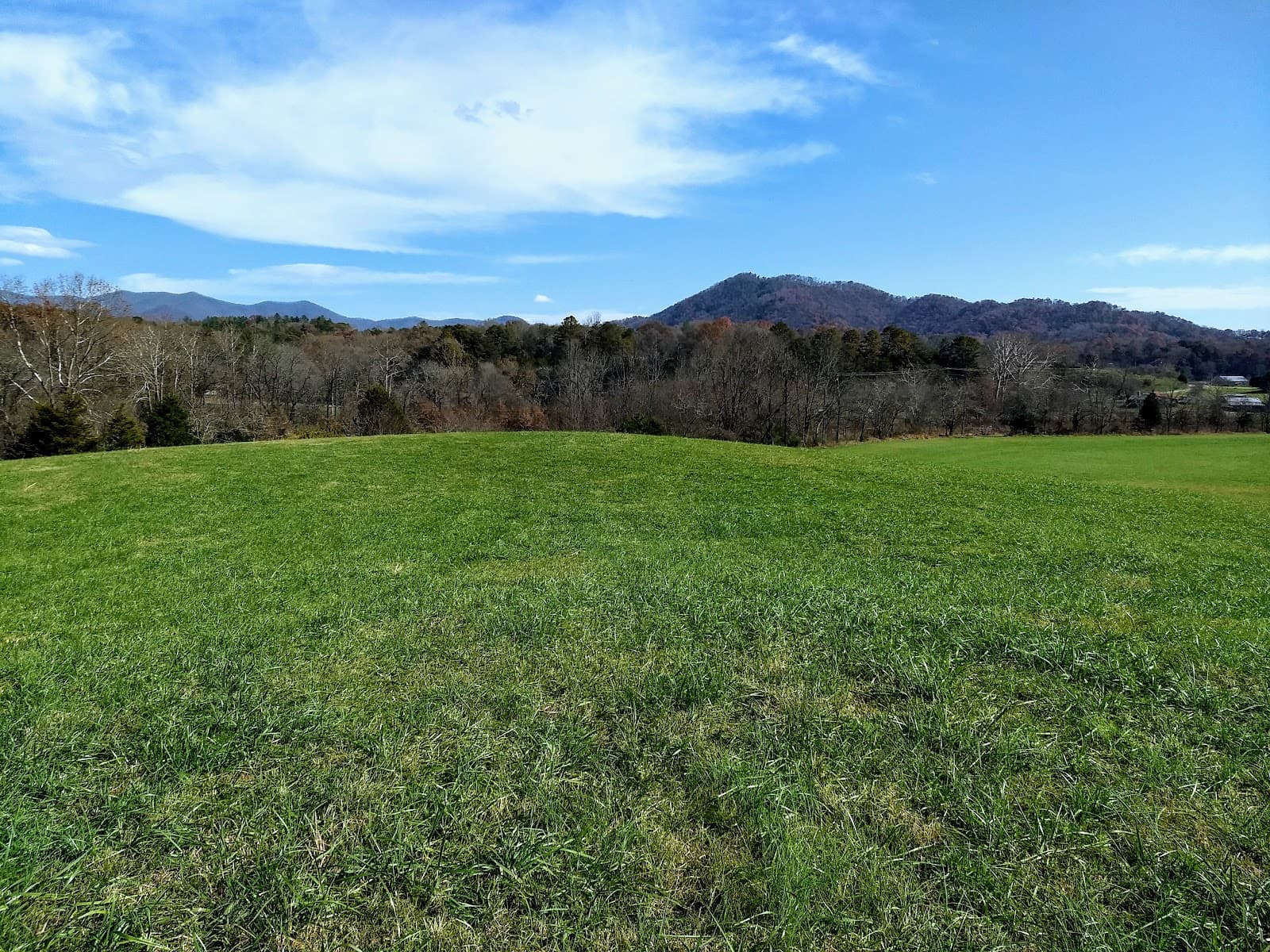 Cowee Mound - Image 1